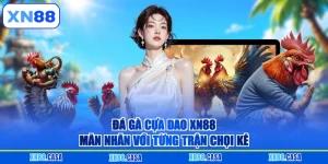 Đá Gà Cựa Dao XN88 - 4 Bước Bắt Kèo Sát Thương Cực Khủng