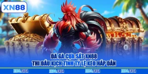 Đá Gà Cựa Sắt Xn88 - Luật Thi Đấu Và 3 Hạng Cân Chuẩn Xác