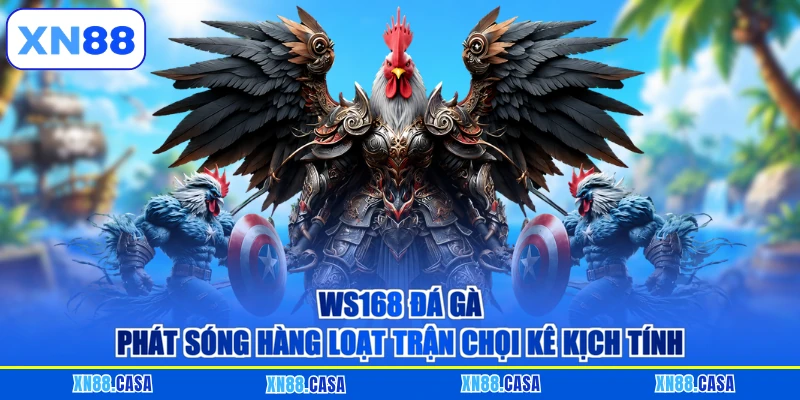 WS168 Đá gà phát sóng hàng loạt trận chọi kê kịch tính